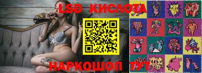 прущие грибы Абакан
