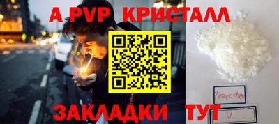 прущие грибы Абакан