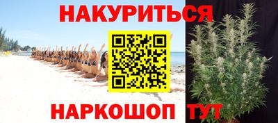 прущие грибы Абакан