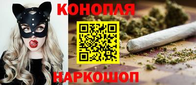 прущие грибы Абакан