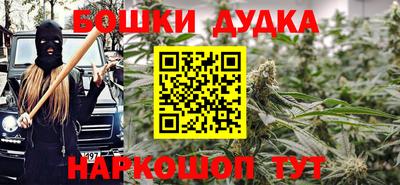прущие грибы Абакан