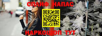 прущие грибы Абакан