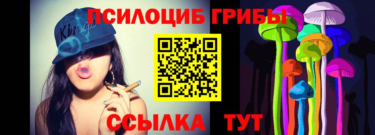 Псилоцибиновые грибы Psilocybe Георгиевск